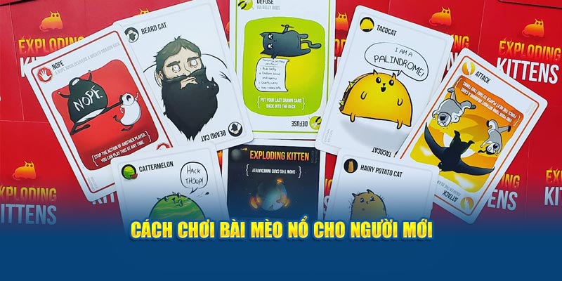 cach-choi-bai-meo-no-cho-nguoi-moi