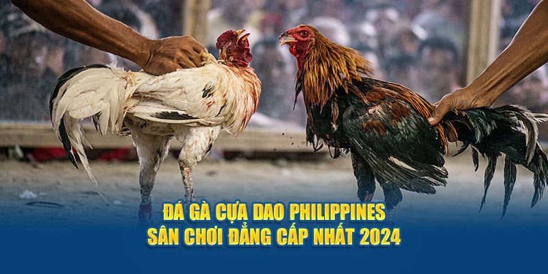 da-ga-cua-dao-philippines-san-choi-dang-cap-nhat-2024
